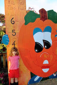 How Tall This Fall - Ashland Berry Farm