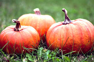 Pumpkins