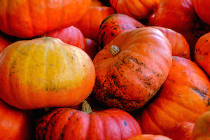 Pumpkins