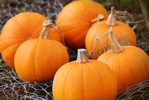 Pumpkins