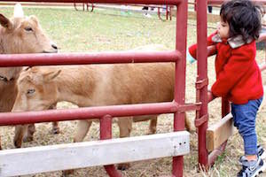 Aditi and her family went to Lloyd Family Farms.