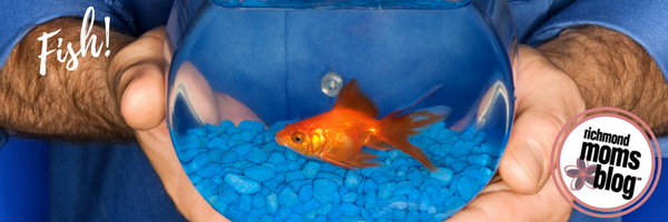 What Type of Pet Should I Get - Richmond Moms Blog